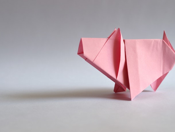 imagen de un proyecto